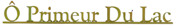oprimeurdulac-sanguinet.fr