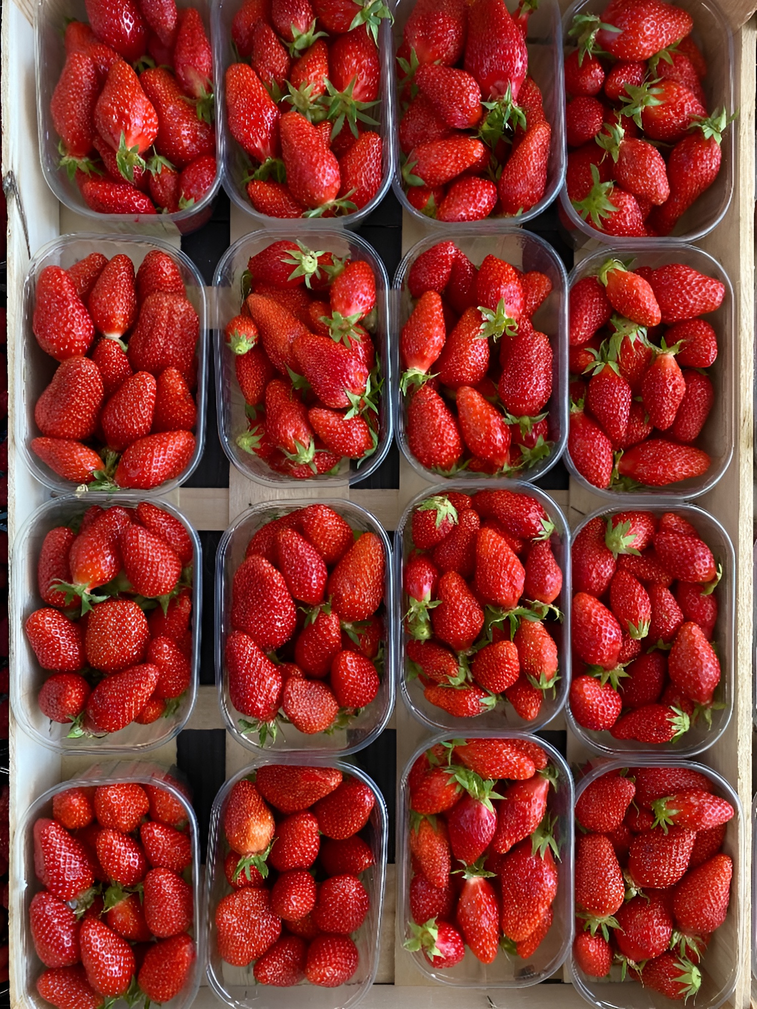 Fruits oprimeur du lac sanguinet